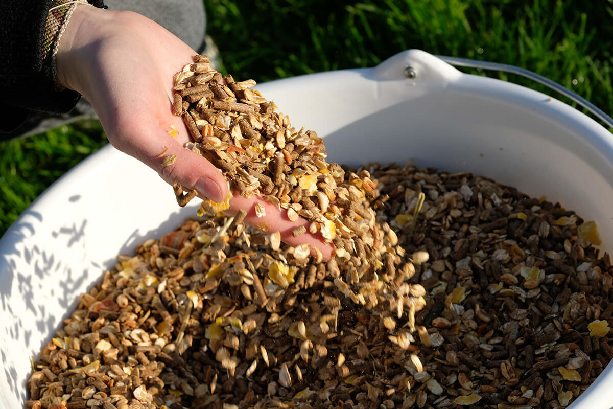 Photo d'Aliments pour chevaux