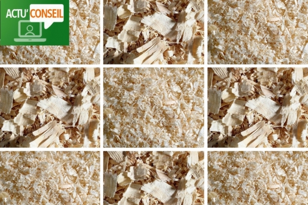 Actu' Conseil: Quelles litières de copeaux pour mon cheval...