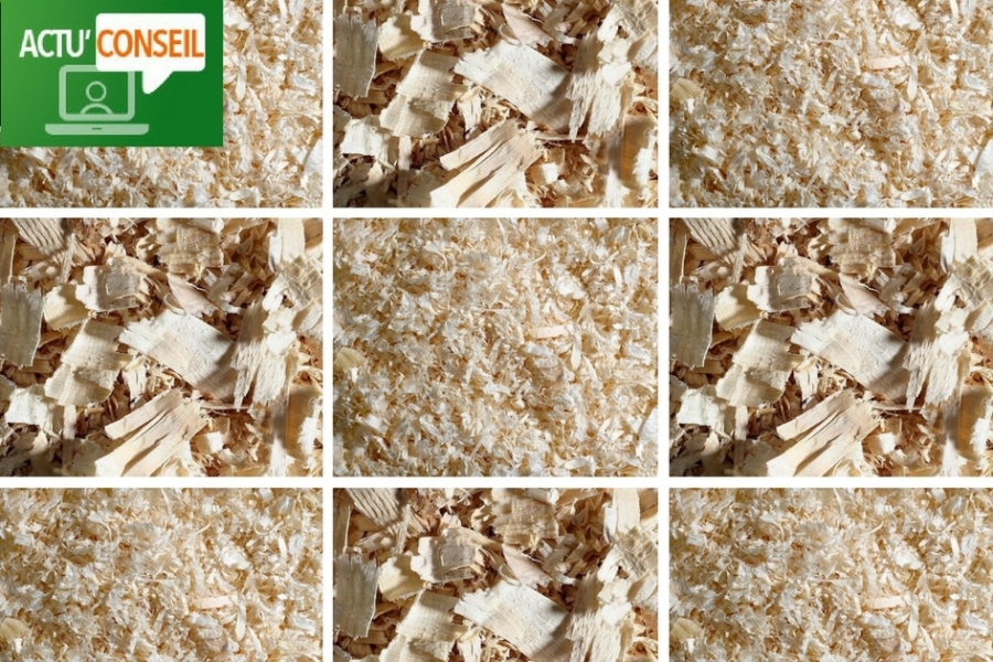 Actu' Conseil: Quelles litières de copeaux pour mon cheval et moi?