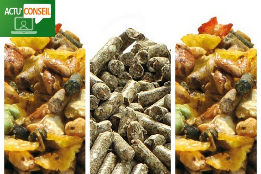 Un aliment adapté à mon cheval