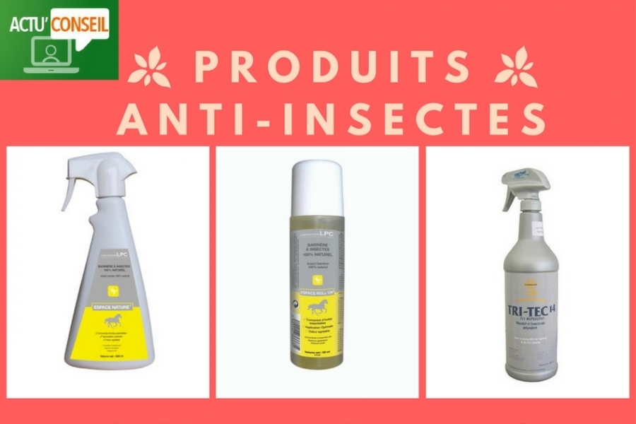 Actu'Conseil: protéger son cheval des insectes