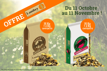 OFFRE SPÉCIALE LAMBEY