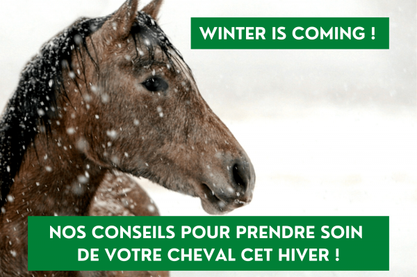 WINTER IS COMING ! : LES SOINS (2/3)