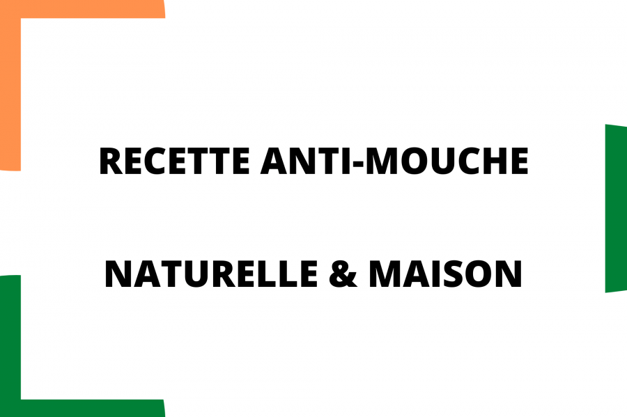 LA recette anti-mouche maison & naturelle !