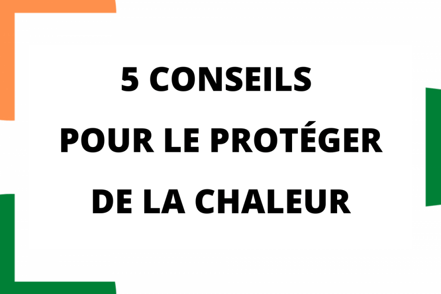 5 conseils pour le protéger de la chaleur