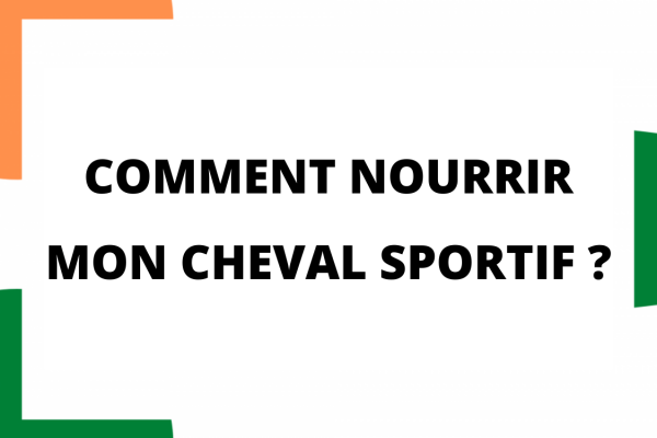 Comment nourrir mon cheval sportif ?