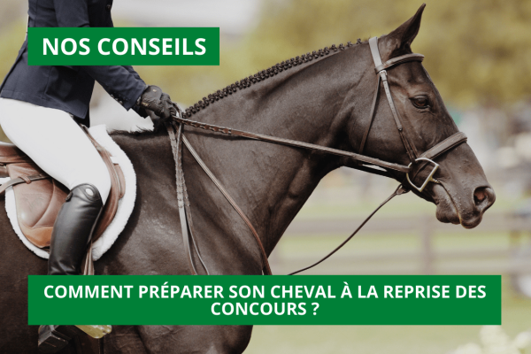 Comment préparer son cheval à la reprise des concours ?