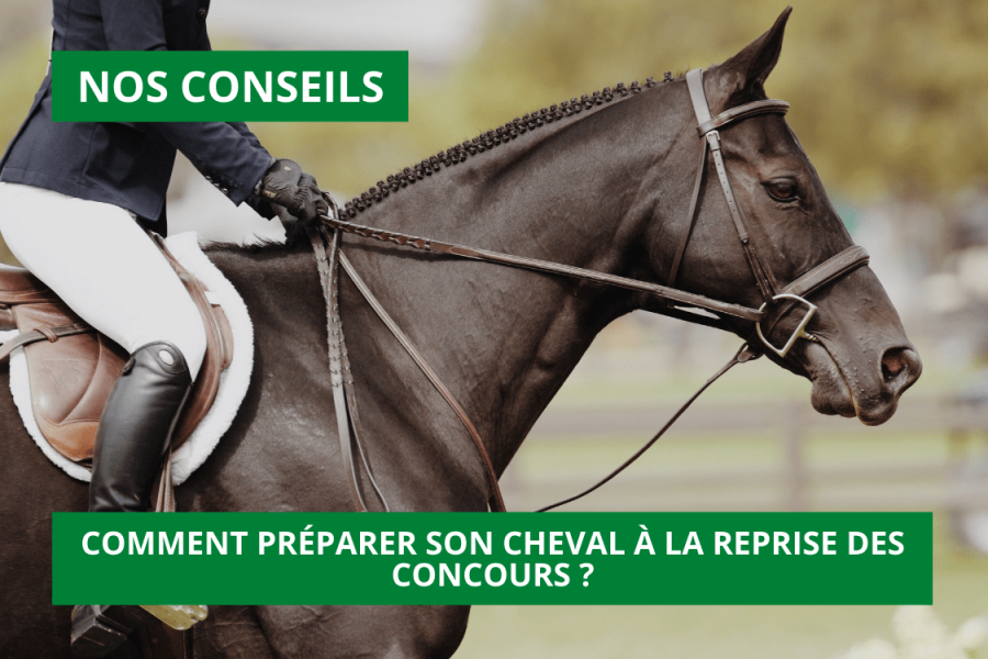 Comment préparer son cheval à la reprise des concours ?