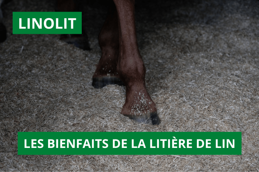 Les bienfaits de la litière de lin