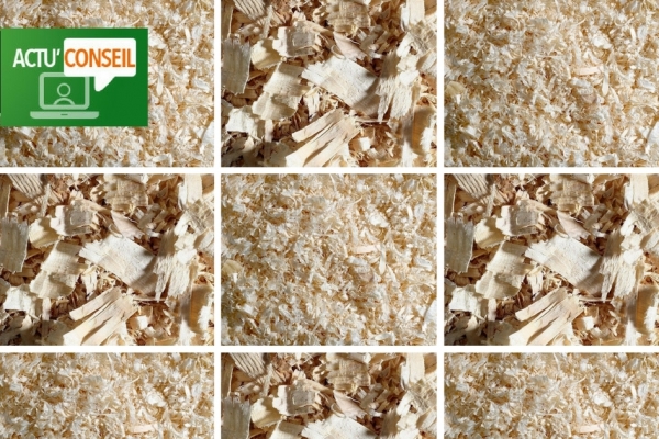 Actu' Conseil : quelles litières de copeaux pour mon cheval ?