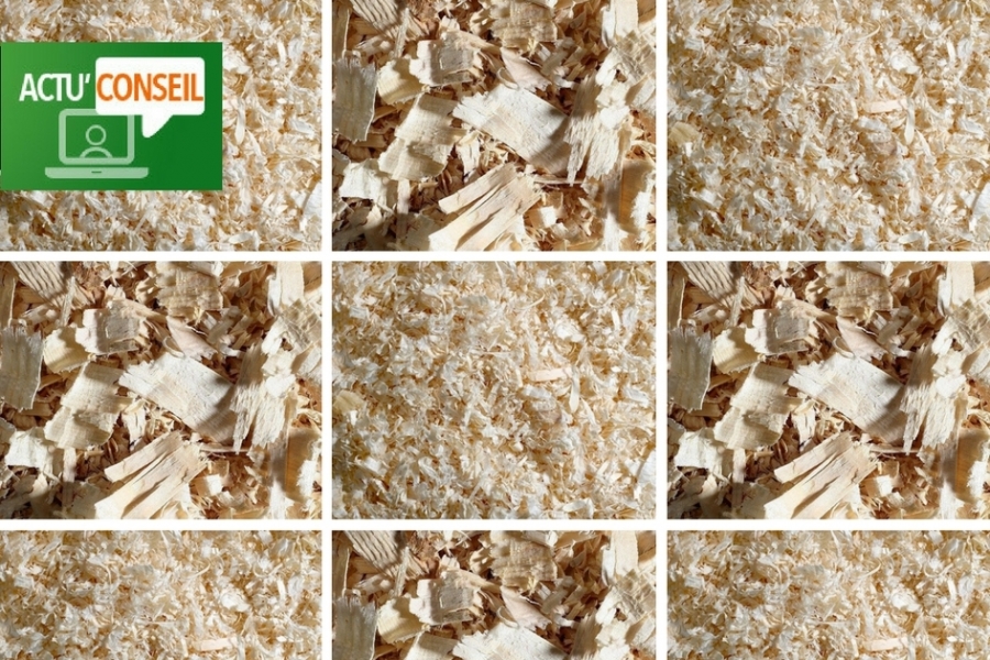 Actu' Conseil : quelles litières de copeaux pour mon cheval ?