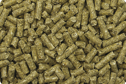 ADULT ENERGY REVERDY