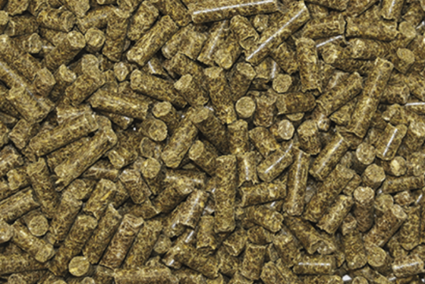 REVERDY ADULT SPECIFIC ENERGY