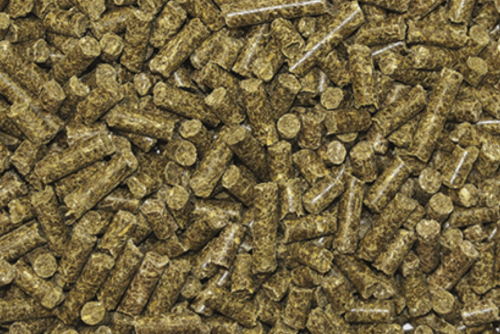 REVERDY ADULT SPECIFIC ENERGY